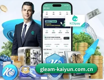 开云 APP 深度功能